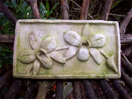 Orchids, weathering in