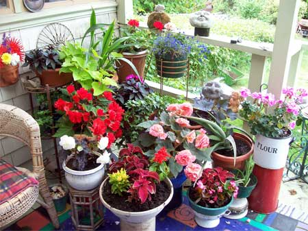 All decked out in plants and flowers