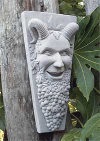 grapesatyr