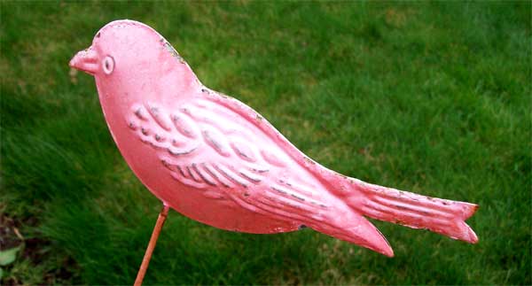 red-bird