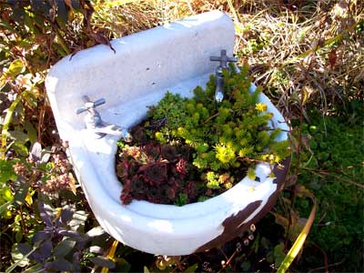 basin basin
