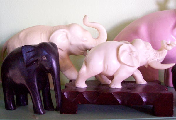 ivory but not really ivory