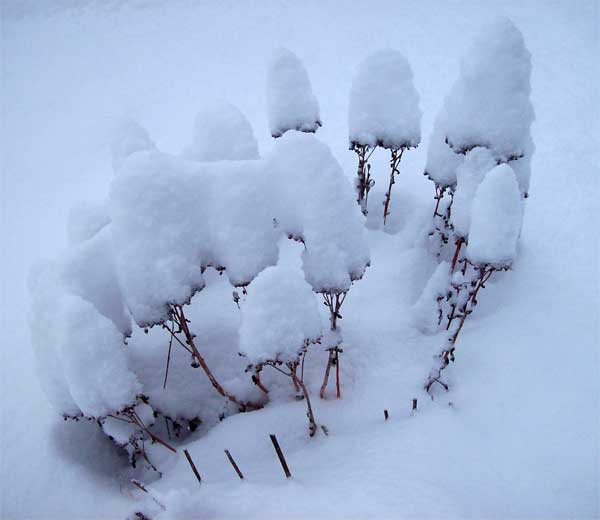 Foto bij Chapter 10: Far-away friends