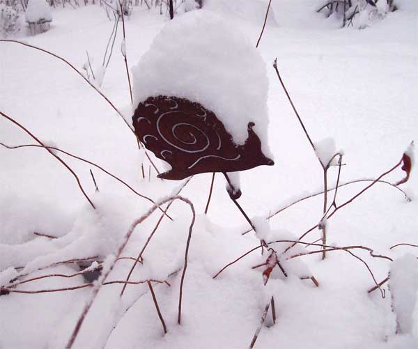 snow-snail