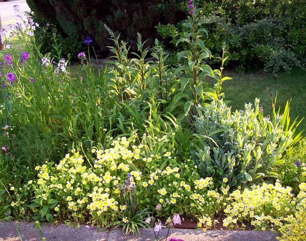 front-walkway1