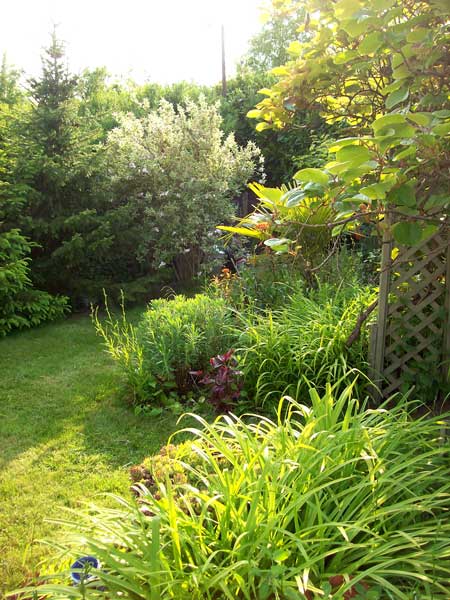toward-compost