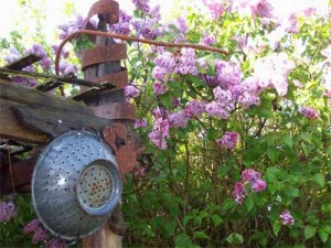 arbour arbor sculpture