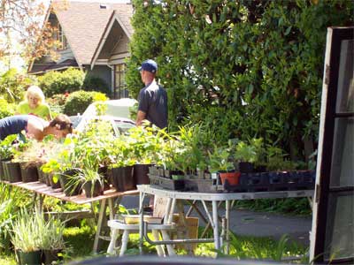 Plant sale