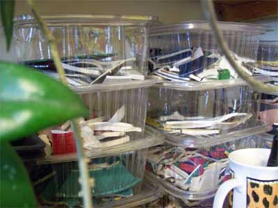 recycledcontainers Recycled salad containers make great storage