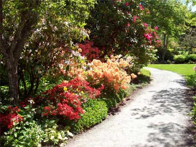 Finnerty Gardens