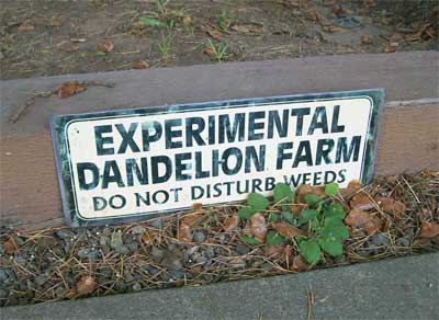 dandelion farm Love this sign!