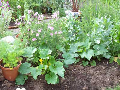 squash The mallow can stay, for now.