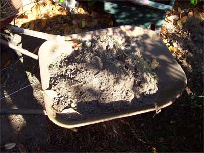 dirt barrow Dirt for the backyard lasagne
