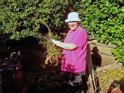 making compost A gardening fashion statement