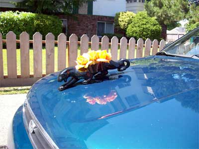 jaguar subaru Not quite