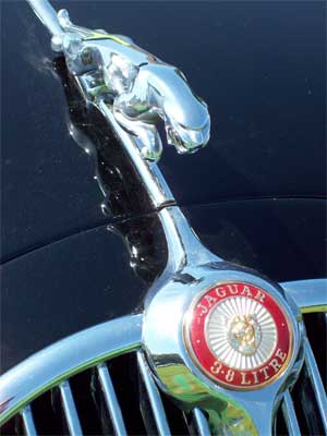 ornament Sculpted right down to the hood ornament
