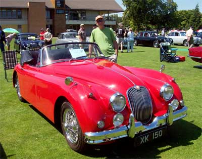 red Jag Just dreaming