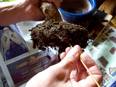 loosening-dirt loosening-dirt