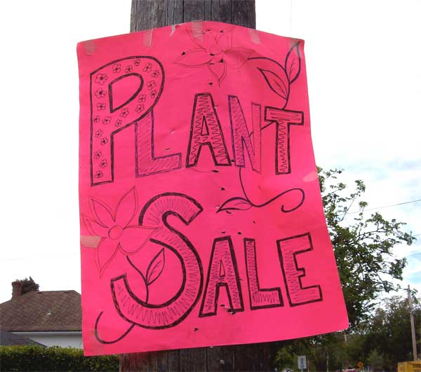 plant-sale-sign1