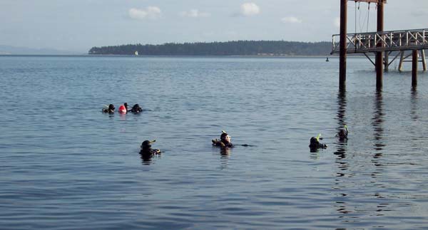 divers-at-beacon-ave-beach