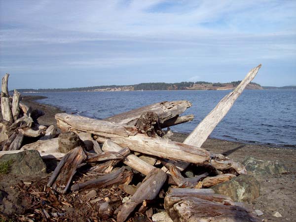 island-view-beach