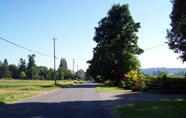 road-near-grapes1