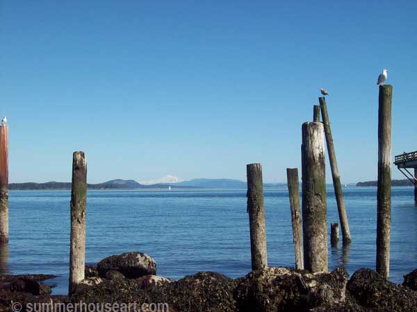 Horizon with Mt Baker, Sidney BC photo summerhouseart.com