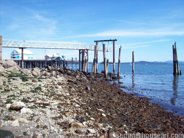 dock-&-seaweed summerhouseart.com